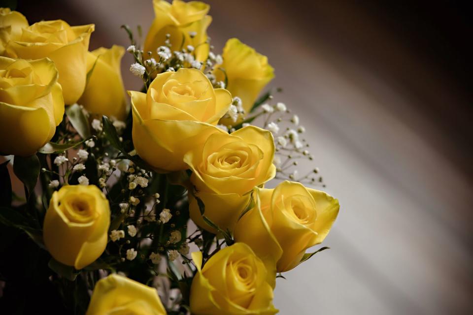 yellow roses and babys breath