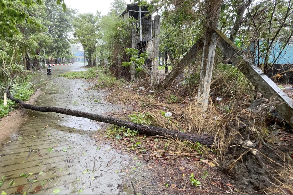 In this image from a video, a tree falls on an empty road as Cyclone Mocha approaches in Sittwe, Rakhine State, Myanmar Sunday, May 14, 2023. Bangladesh and Myanmar braced Sunday as the extremely severe cyclone started to hit coastal areas and authorities urged thousands of people in both countries to seek shelter. (AP Photo)