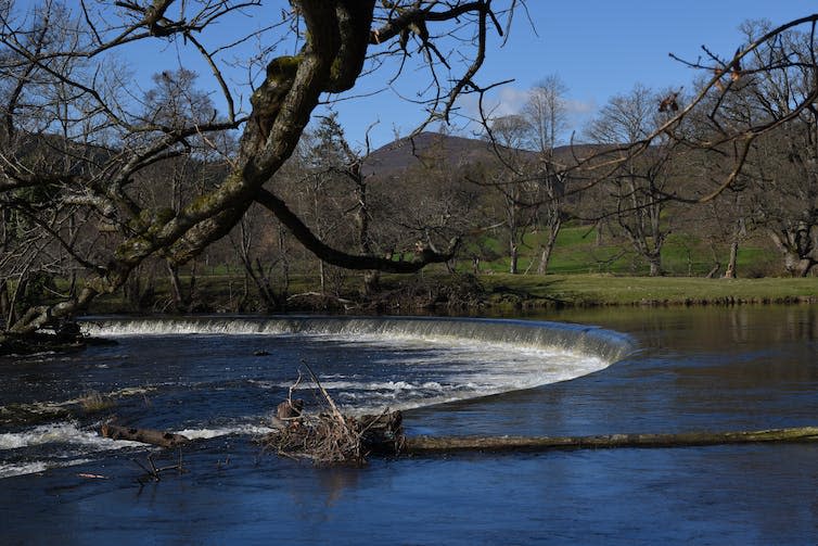 Barrier in river in countryside