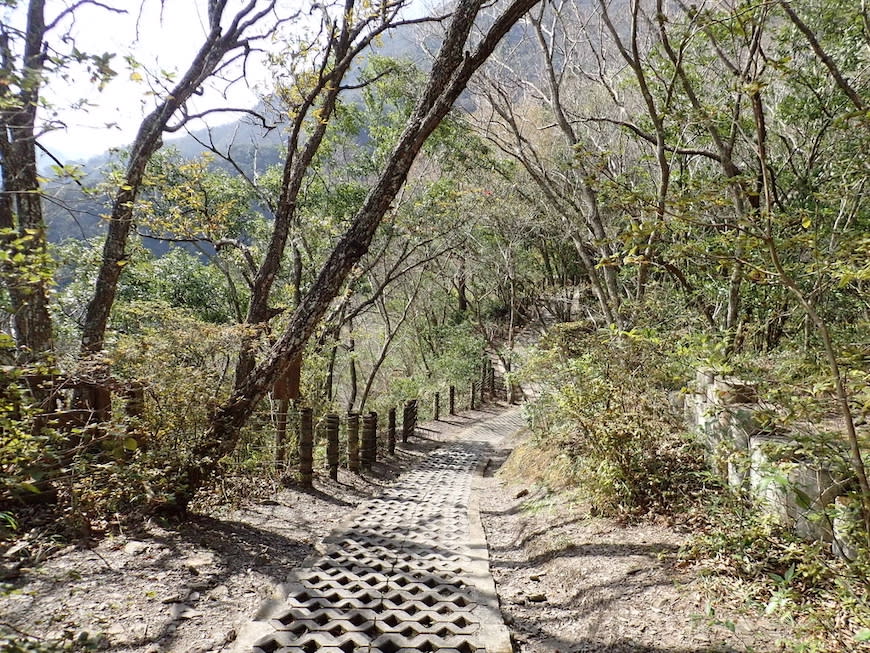 桃園巴陵古道生態園區