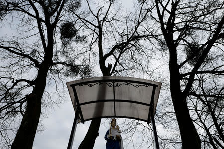 A holy statue is seen in Ostrowite village, Poland February 17, 2019. Picture taken February 17, 2019. REUTERS/Kacper Pempel