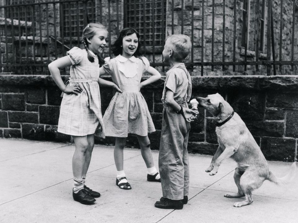 Dog Eating Ice Cream Cone Hidden Behind Boy's Back