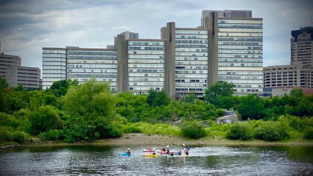 People paddle along the Ottawa River on June 29, during the COVID-19 pandemic. (Christian Patry/CBC - image credit)