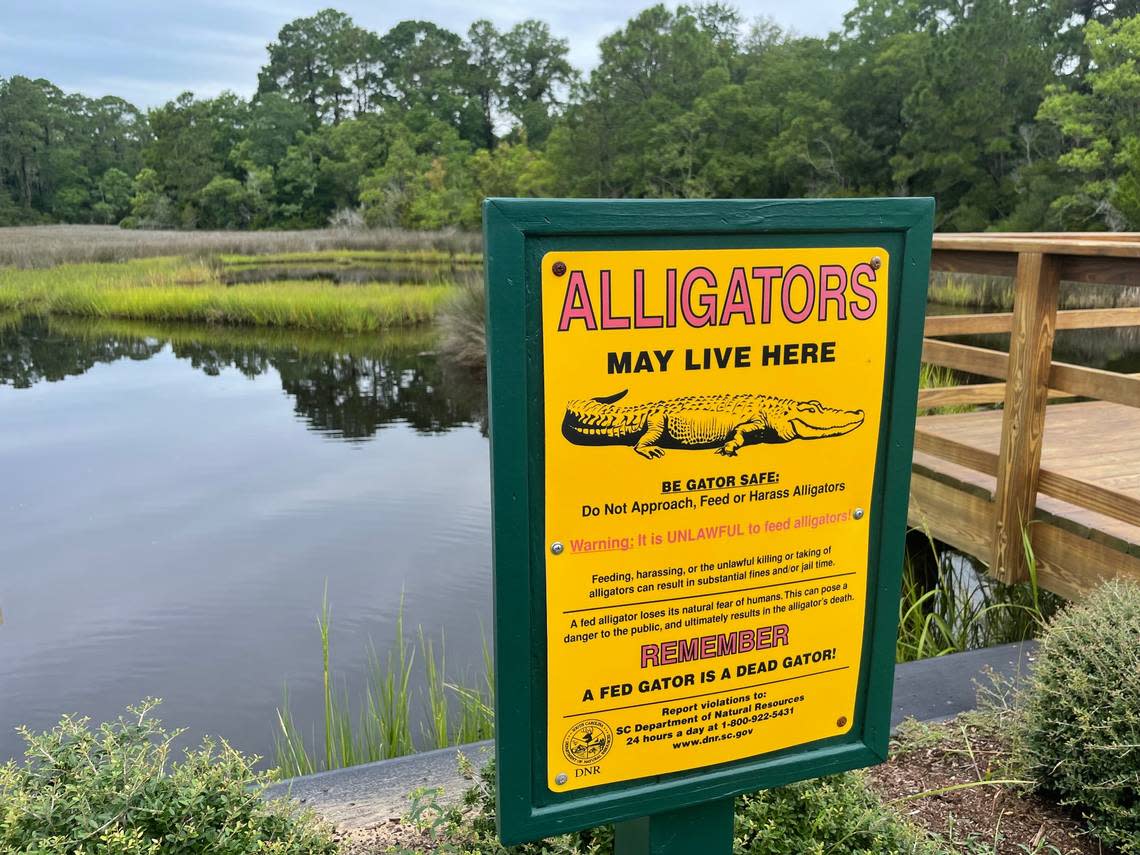 Signage warns residents against the presence of alligators in Moss Creek, a private, gated community in Beaufort County.