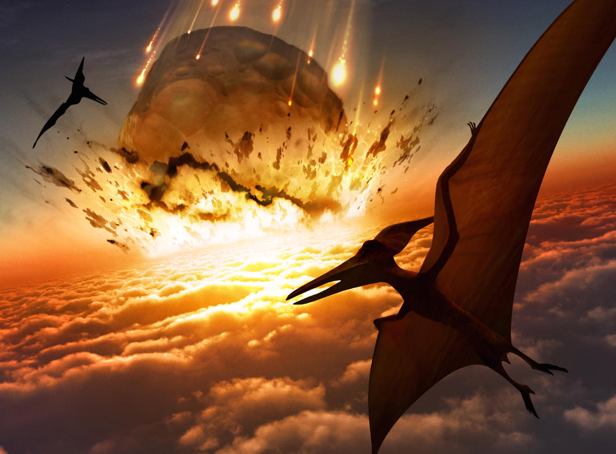 Illustration of Pteranodon sp. flying reptiles watching a massive asteroid approaching Earth's surface. A similar impact is believed to have led to the death of the dinosaurs some 65 million years ago. The impact would have thrown trillions of tons of dust into the atmosphere, cooling the Earth's climate significantly, which may have been responsible for the mass extinction. A layer of iridium-rich rock, known as the K-pg boundary, is thought to be the remnants of the impact debris.