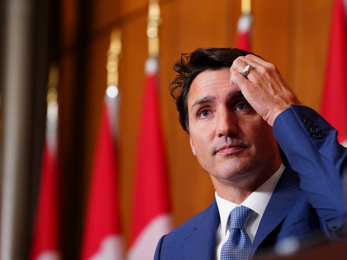 Prime Minister Justin Trudeau's new cabinet is expected to include some new faces. (Sean Kilpatrick/The Canadian Press - image credit)