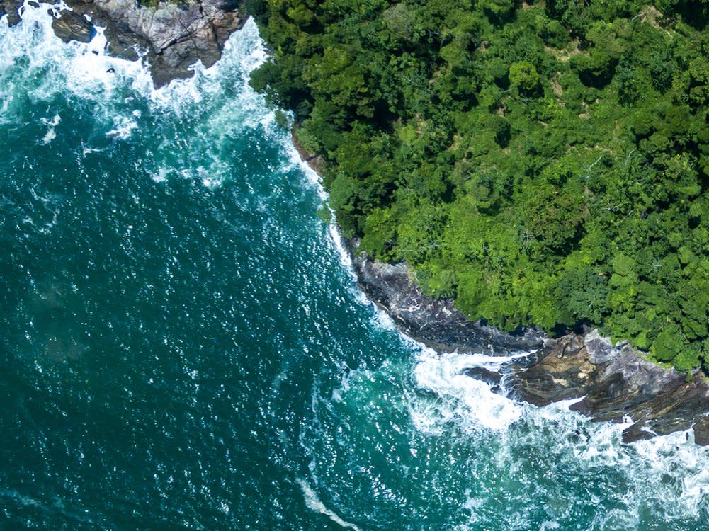 Auf Queimada Grande leben unangenehme Bewohner. (Bild: Gustavo Frazao/Shutterstock.com)