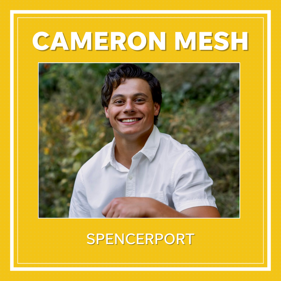 Cameron Mesh