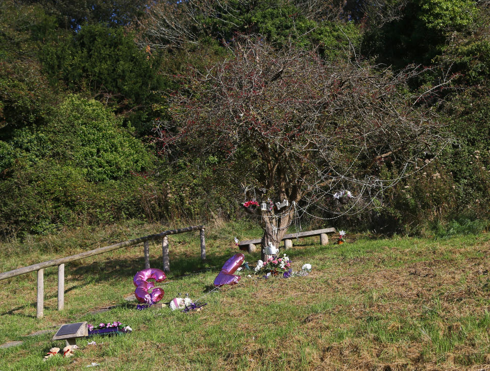 A view of the memorial tree to Karen Hadaway and Nicola Fellows in Wild Park, Brighton, East Sussex. Russell Bishop is standing trial at the Old Bailey, London, accused of the murdering the nine-year-olds 32 years ago. (PA).