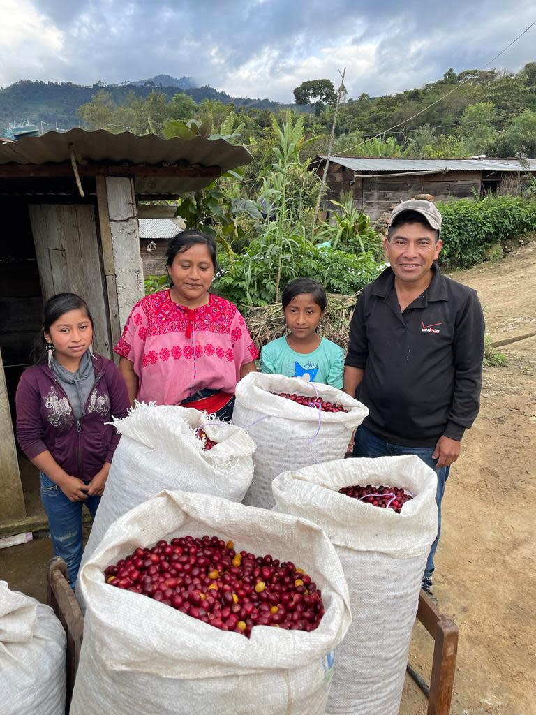 pequeños cafetaleros México