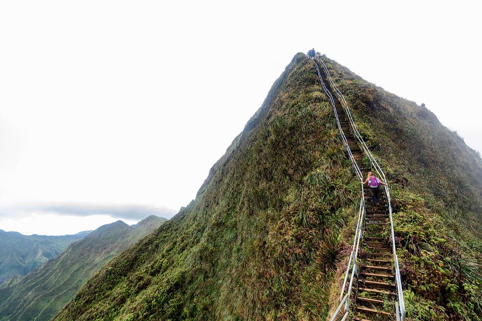 Hikers on stairs going up green mountain