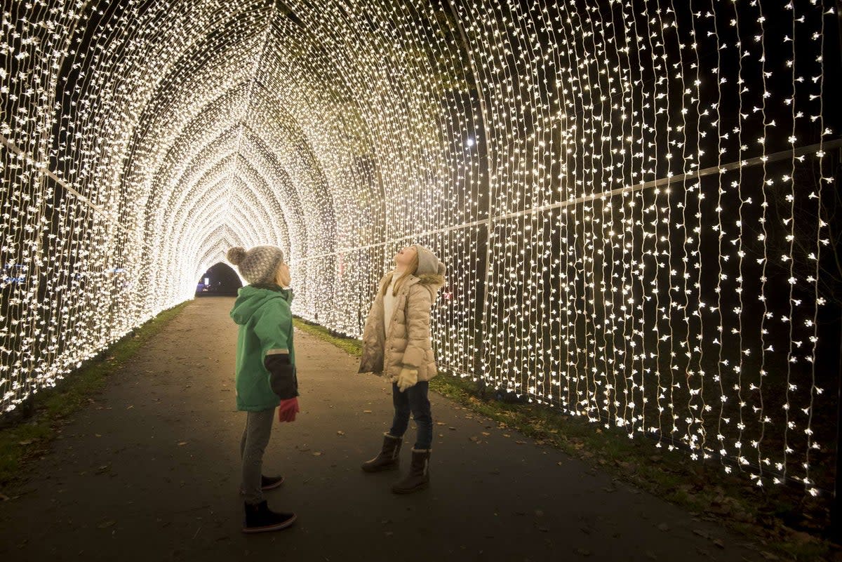 Christmas at Kew (© RBG Kew)