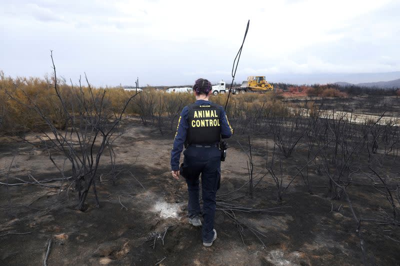 FILE PHOTO: Fairview Fire burns in California