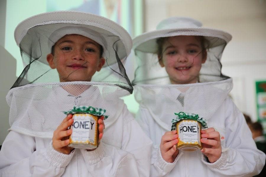 愛旭麗校內還有蜂巢，孩子穿上防護衣，觀察蜜蜂的生命循環。（翻攝Ashley Primary School）
