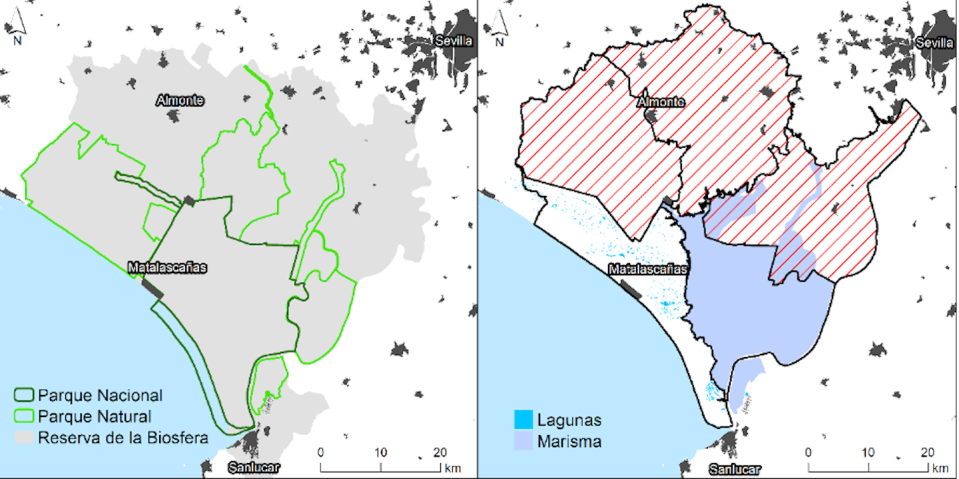 Mapa del Parque Nacional de Doñana mostrando las áreas con mayor deterioro de lagunas afectadas por anomalías distintas al clima (distancia a bombeos, extensión de cultivos, etc.). Author provided