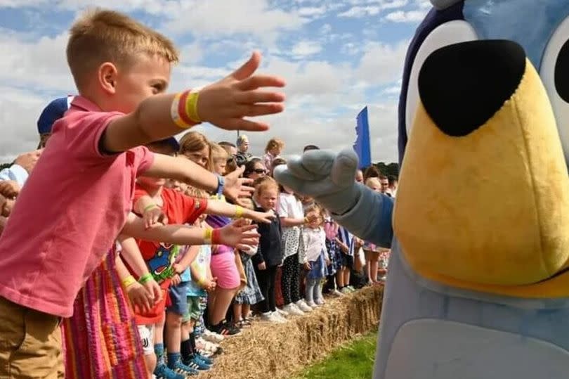 Kids will get the chance to meet Bluey at the Gloworm children's festival