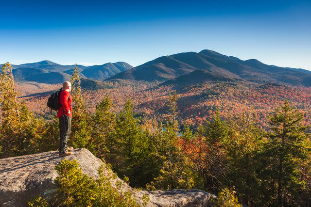 Hiker Survived Frigid Night After Falling Down Mountain By Clinging to Tree