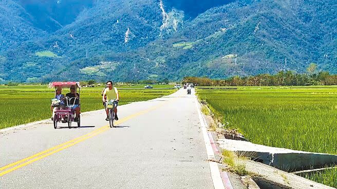 台東池上鄉伯朗大道開放以人力為主、電力為輔的慢車進入旅遊。（蕭嘉蕙攝）