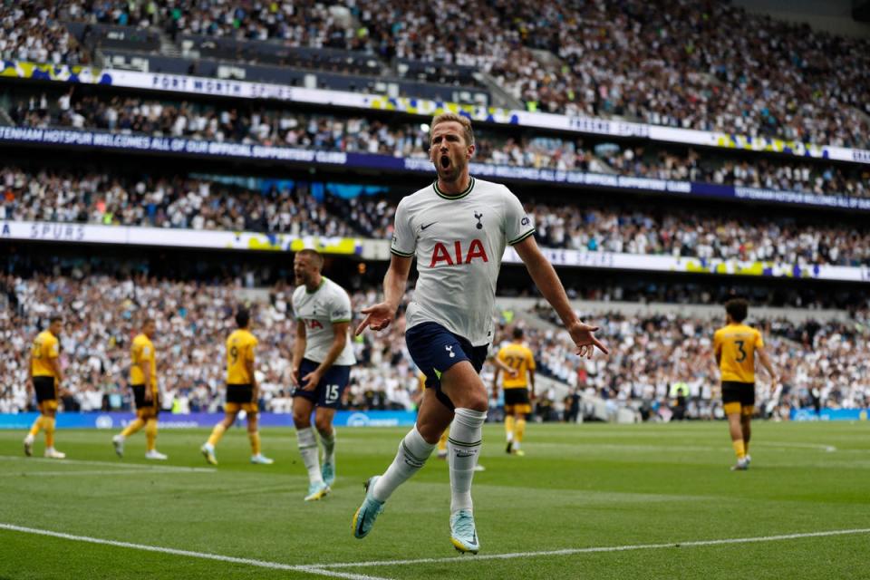 Harry Kane headed Spurs ahead in north London  (AFP via Getty Images)