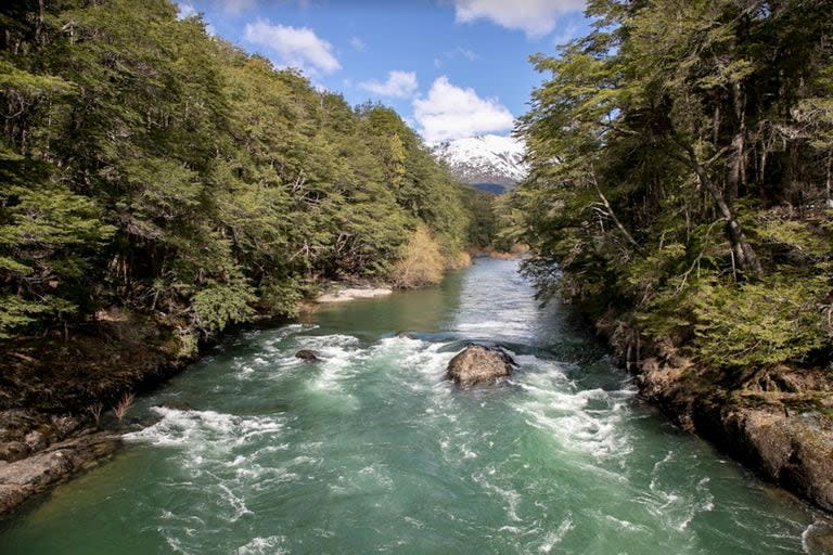 El río Manso, en Río Negro, se caracteriza por tener fuertes corrientes y ser muy frío porque recibe agua de deshielo