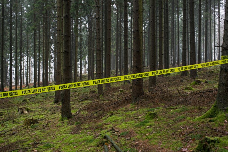 Photo of forest crime scene with “police line do not cross” tied to the tree. - Photo: Joos Mind (iStock by Getty Images)