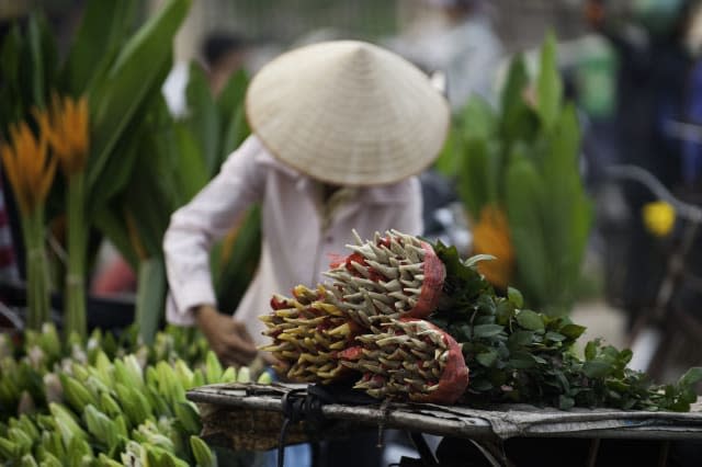 Women in Hanoi flower market