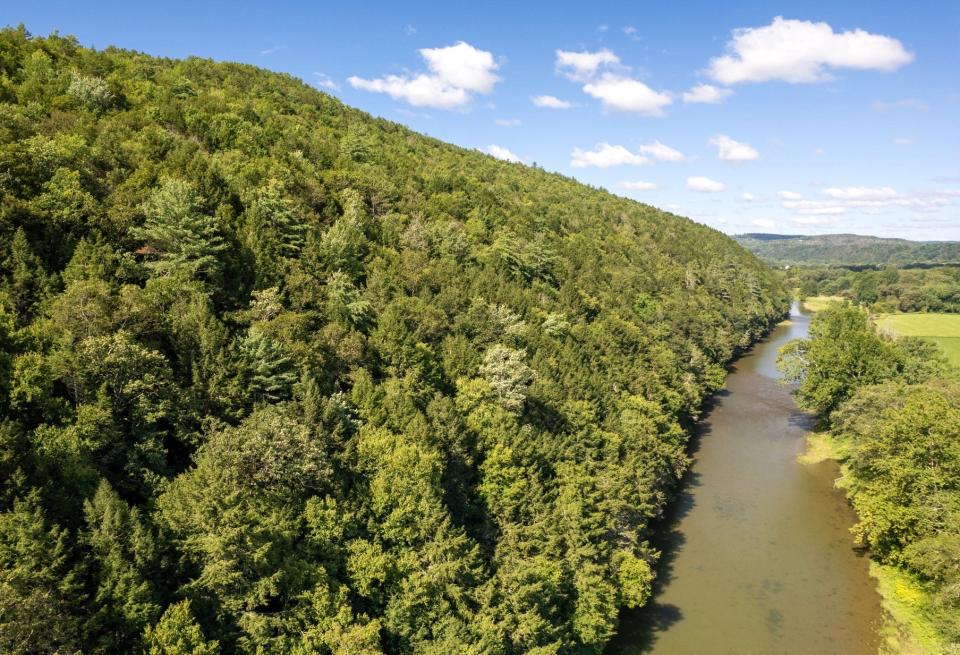 The Finger Lakes Land Trust has acquired nearly 1,000 acres of property along the Canisteo River in the towns of Erwin and Lindley, just southwest of Corning. The land will ultimately be added to the adjacent McCarthy Hill State Forest.