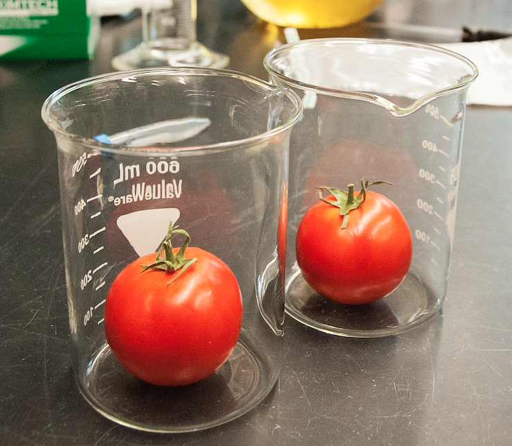 Investigaciones bajo sospecha en el laboratorio.