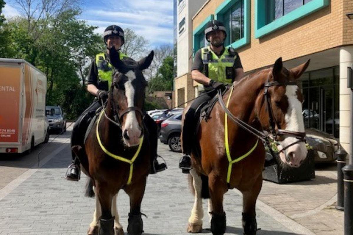 The officers on patrol in Bicester town centre <i>(Image: TVP)</i>