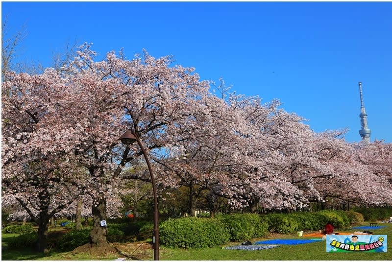 東京｜猿江恩賜公園