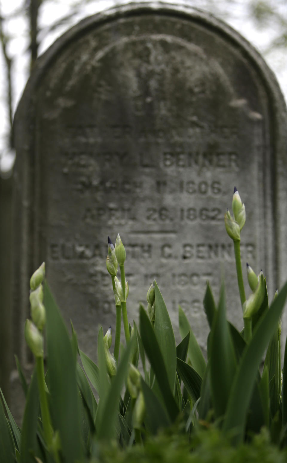 Flowers grow on a cradle grave at the Benner plot at the Woodlands Cemetery Saturday May 4, 2019 in Philadelphia. The cemeteries of yore existed as much the living as for the dead. And a handful of these 19th century graveyards are restoring the bygone tradition of cemetery gardening. (AP Photo/Jacqueline Larma)