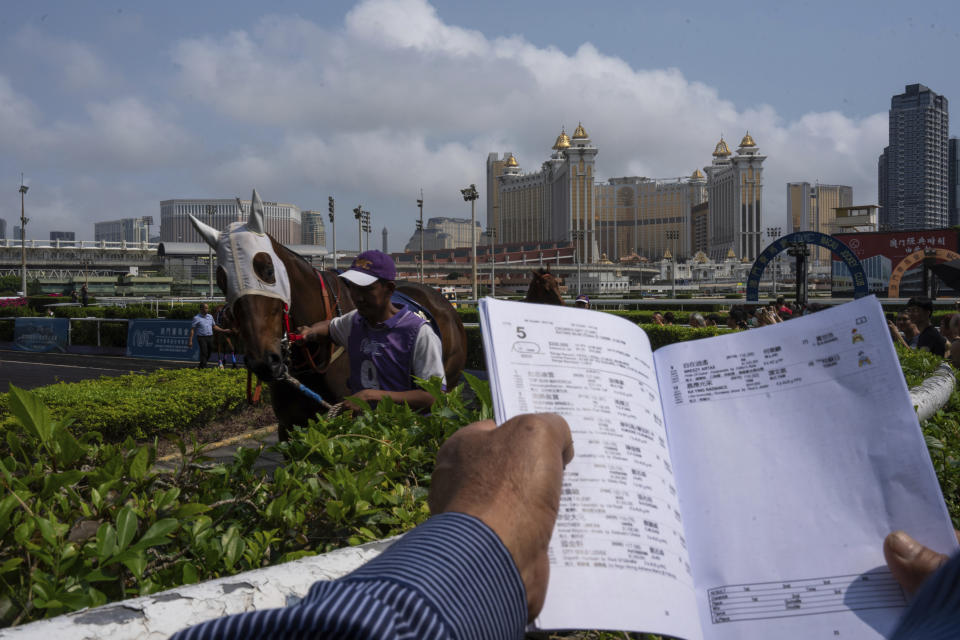 A visitors watches horses in parade ring at the Macao Jockey Club in Macao, Saturday, March 30, 2024. After more than 40 years, Macao’s horse racing track hosted its final races on Saturday, bringing an end to the sport in the city famous for its massive casinos. (AP Photo/Louise Delmotte)