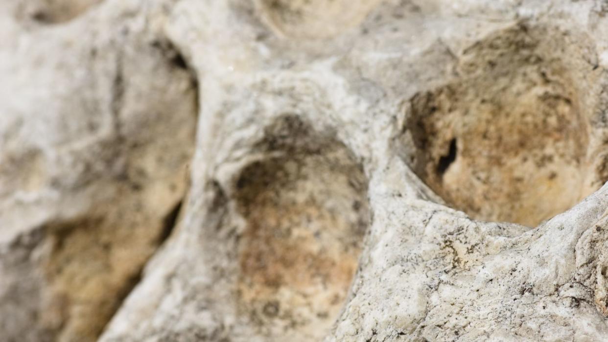 rock face on the shore