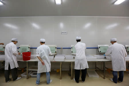 Lab technicians work at a "sex separation area" inside Sun Yat-Sen University-Michigan State University Joint Center of Vector Control for Tropical Disease, the world’s largest "mosquito factory" which breeds millions of bacteria-infected mosquitoes, in the fight against the spread of viruses such as dengue and Zika, in Guangzhou, China July 28, 2016. Picture taken July 28, 2016. REUTERS/Bobby Yip