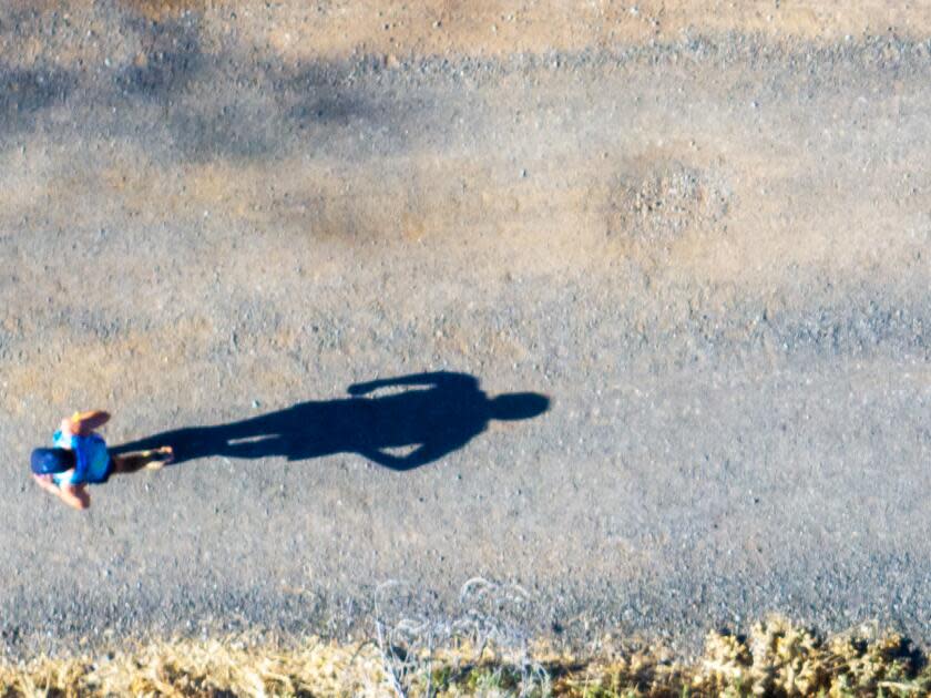 A runner casts a long shadow as he runs west out of Michigan Bluff.