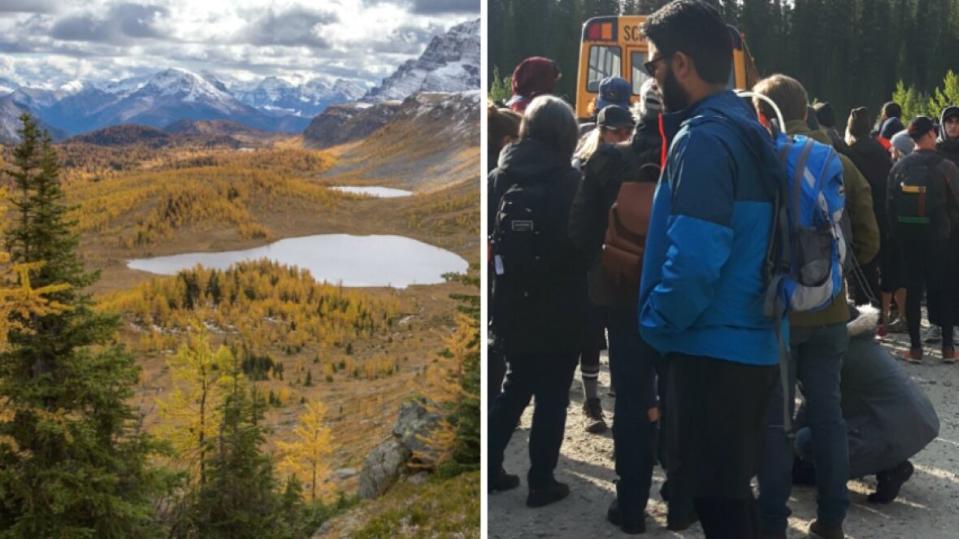 Scenic shot of larch trees near Moraine Lake beside photo of people lined up for a shuttle bus to take them to the area.