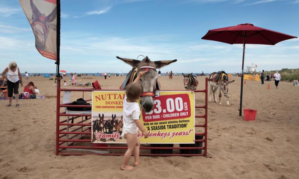 <span>Photograph: Gary Calton/The Observer</span>