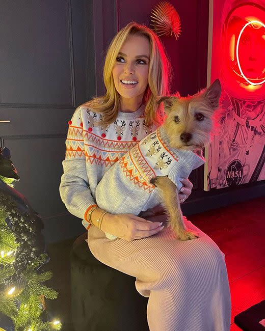 amanda-holden-dog-twinning