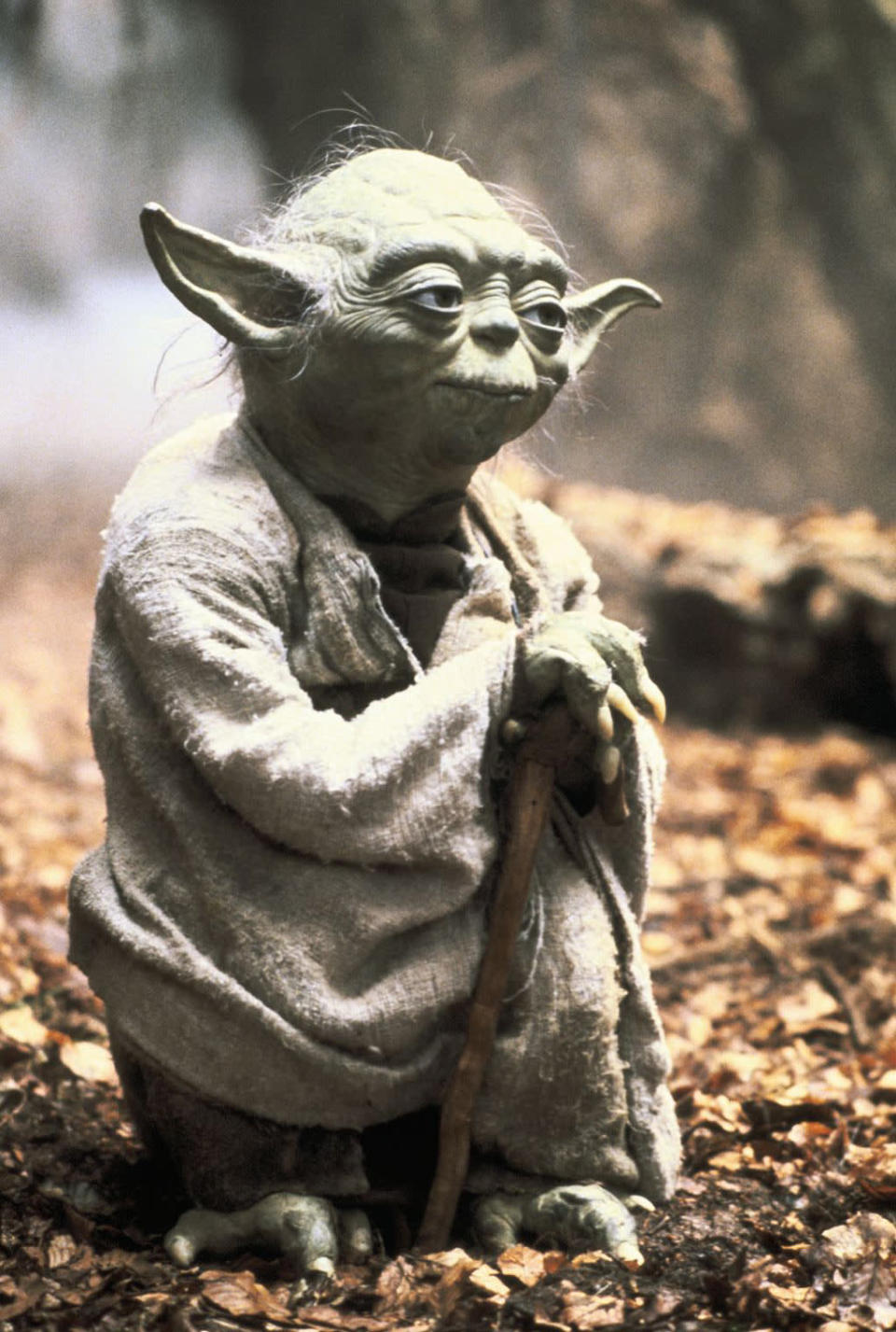 <b><span>Yoda</span></b><br>"<a href="http://movies.yahoo.com/movie/the-empire-strikes-back/" data-ylk="slk:The Empire Strikes Back;elm:context_link;itc:0;sec:content-canvas" class="link ">The Empire Strikes Back</a>" (1980)