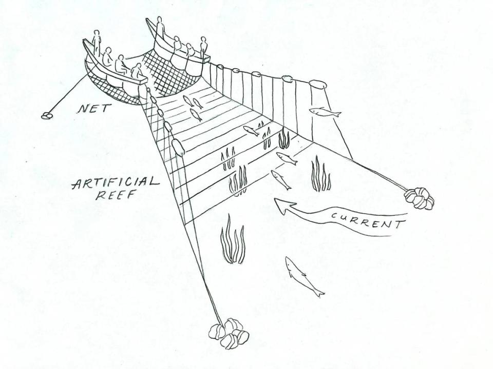 A drawing by Richard Perenyi shows a diagram of a reef net fishing rig. A net is stretched between two anchored boats. Long lines of rope run from the boats, creating an artificial reef that corrals the fish into the net. Once the salmon reach the net, the watchmen sound the alarm, and the crew quickly pulls the catch into the boat.