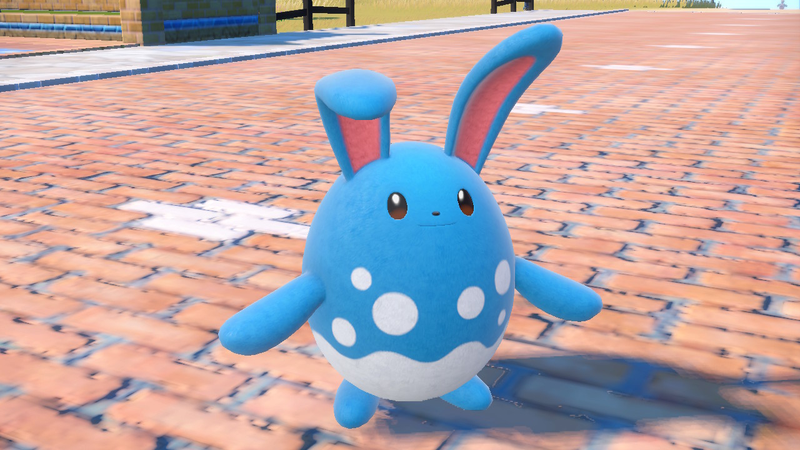 An Azumarill stands on a path of bricks in Pokémon Scarlet and Violet.