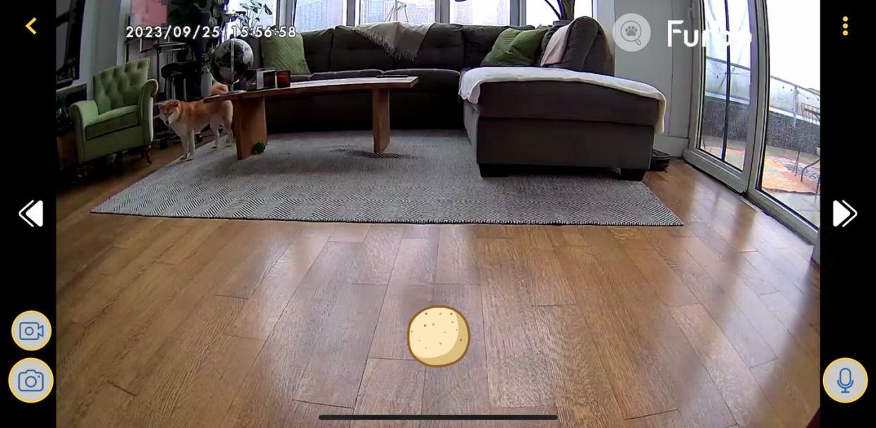 furbo camera in living room