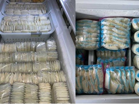 Two freezers full of frozen breast milk bags.