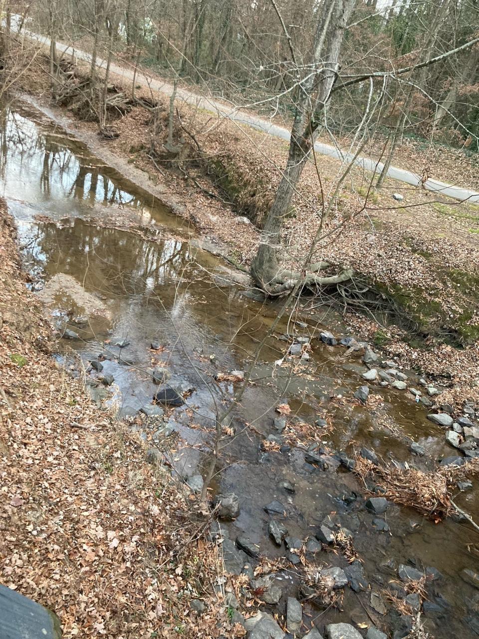 Ellerbee Creek in Durham runs low after weeks of below-normal rainfall. The Triangle area is considered in "moderate drought" by the U.S. Drought Monitor.