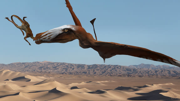 An artist's interpretation of the newfangled pterosaur snacking on a primitive crocodylomorph known as a sphenosuchian.