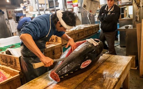 Tsukiji fish market - Credit: istock