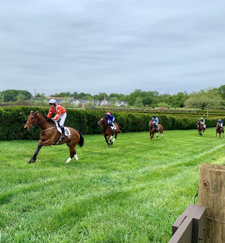 Horses run on the steeplechase course during the 44th annual Point-to-Point