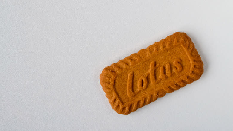 One Lotus Biscoff cookie