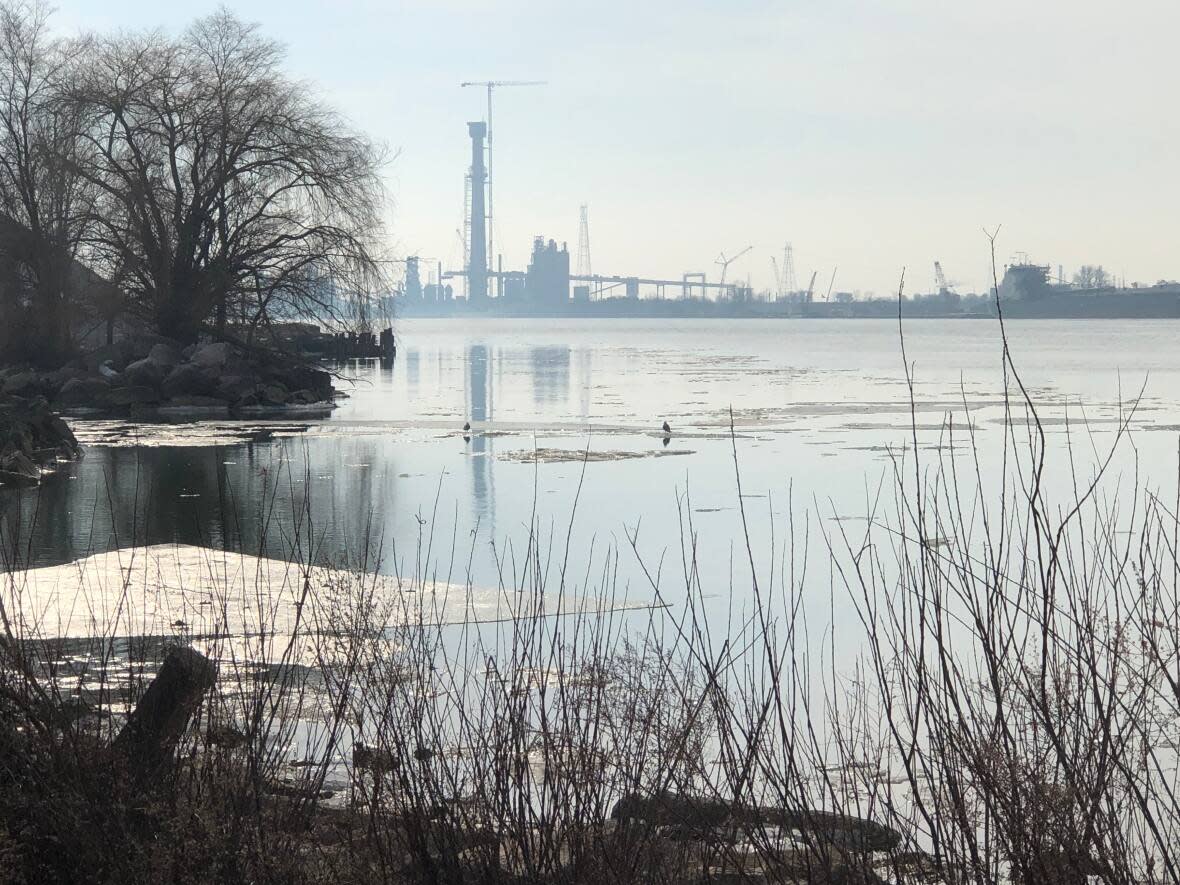 Waterways in the Windsor region were part of the focus for the Essex Region Conservation Authority's report. (Dale Molnar/CBC - image credit)