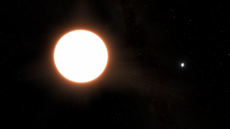 Der Exoplanet LTT9779b spiegelt 80 Prozent des Lichts seines Sterns zurück. (Bild: dpa)